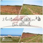 قطعة أرض في دار علوش/ قليية