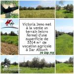 une micro ferme à Kélibia