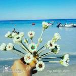 petite maison climatisée