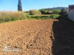 terrain 250 m2 rafraf centre