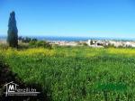 terrain 250 m2 rafraf centre