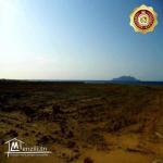 قطعة أرض في الهوارية