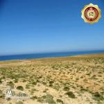 قطعة أرض في الهوارية