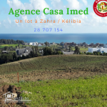 Un lot à Zahra / Kélibia