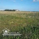 Terrain à vendre de 800m2