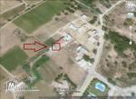 un terrain à vendre à kélibia mansoura 50522361
