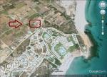 un terrain à vendre à kélibia mansoura 50522361