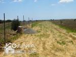 Vente des terrains à Manzel Brahim kélibia