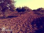 A vendre : Terrain Agricole (7 Hectares)