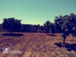 A vendre : Terrain Agricole (7 Hectares)