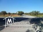 Un lot de 2500 m² à 70 DT le m²