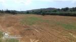 Terrain agricole de 16000m²