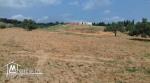 Terrain agricole de 16000m²