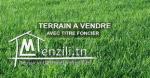 TERRAIN DE 2 HECTARES A BORJ TOUIL