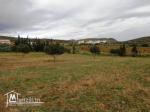 A vendre lot de terrain dans la compagne de hammamet 10-4