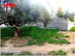 a vendre lot de terrain à birbouragba 10min de hammamet 10-4