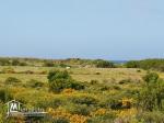 un terrain vue de mer a vendre en promotion à kerkouane / kelibia