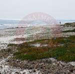 Terrain pied dans l'eau à Kelibia