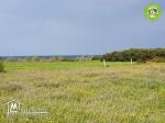 Promo :un terrain 180m² a kerkwen / kelibia