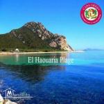 terrain a vendre à haouaria pour plus d'info 26875066