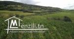 TERRAIN AGRICOL ENTRE RAFRAF ET RAS-JEBEL