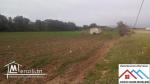Terrain agricole de 18060m2 avec titre bleu