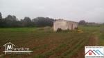 Terrain agricole de 18060m2 avec titre bleu