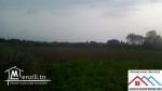 Terrain agricole de 18060m2 avec titre bleu