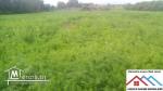 Terrain agricole de 18060m2 avec titre bleu