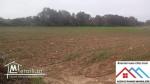 Terrain agricole de 18060m2 avec titre bleu