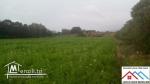 Terrain agricole de 18060m2 avec titre bleu