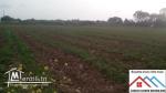 Terrain agricole de 18060m2 avec titre bleu
