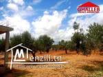 lot de 677 m² Manaret Hammamet AD