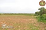 3 lots de terrain a lebna