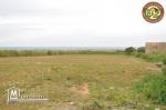 3 lots de terrain a lebna