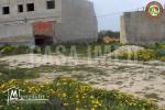 superbe terrain a maamoura