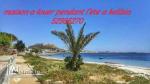 maison a louer pendant l'été a kelibia 50 dinar ellila f juin w 60 début juillet 52955270
