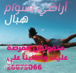 terrain à haouaria plage