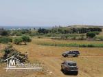 terrain à haouaria plage