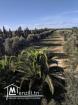 une magnifique Ferme agricole à Sidi BouAli de 7 Hectares