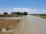 offre spécial :  terrain de 300 m²
