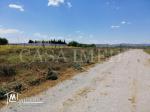 offre spécial :  terrain de 300 m²