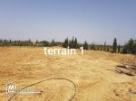 2 terrains agricoles