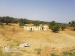 2 terrains agricoles