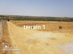 2 terrains agricoles