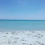 Au bord de la plage El Mansourah Kélibia