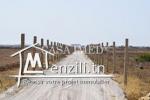 Terrain à hammamet prix 21 mille dt 