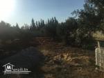 A vendre terrain à Sidi Hammed - HAMMAMET