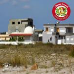 أراضي على البحر بقليبيه بأسوام معقوله 