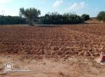 قطع ارض للبيع في عقارب-صفاقس Terrain à vendre Agareb-Sfax